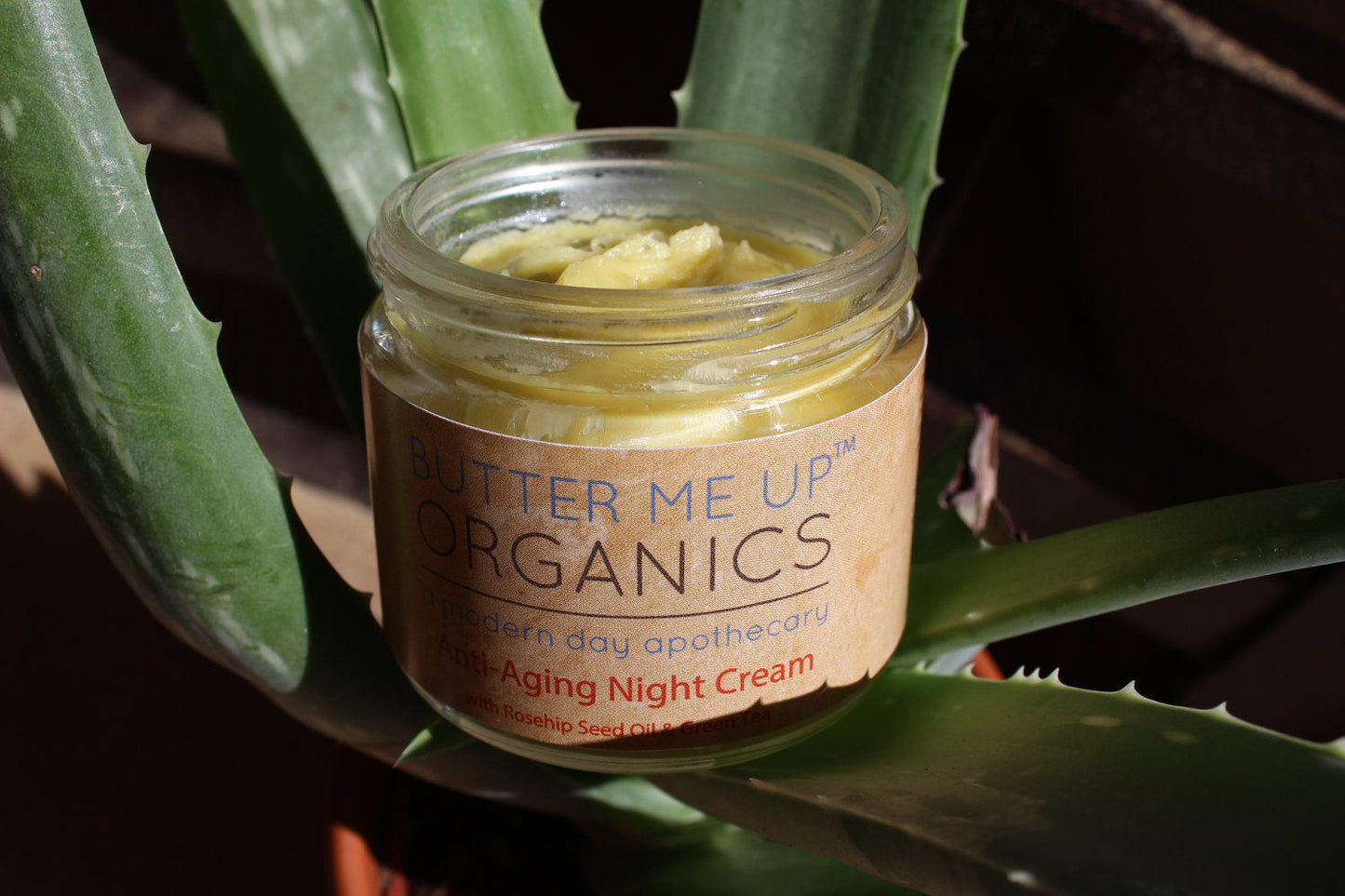 Anti Aging Green Tea Night Cream