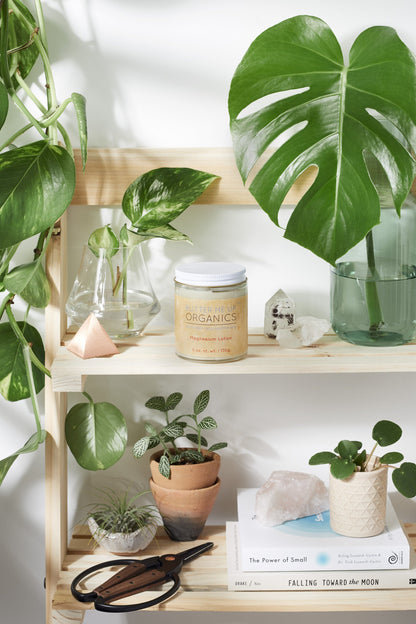 Organic Magnesium Lotion 2 oz / 6 oz