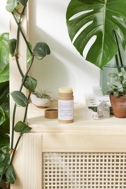 Organic Lotion Bar Shea & Coconut