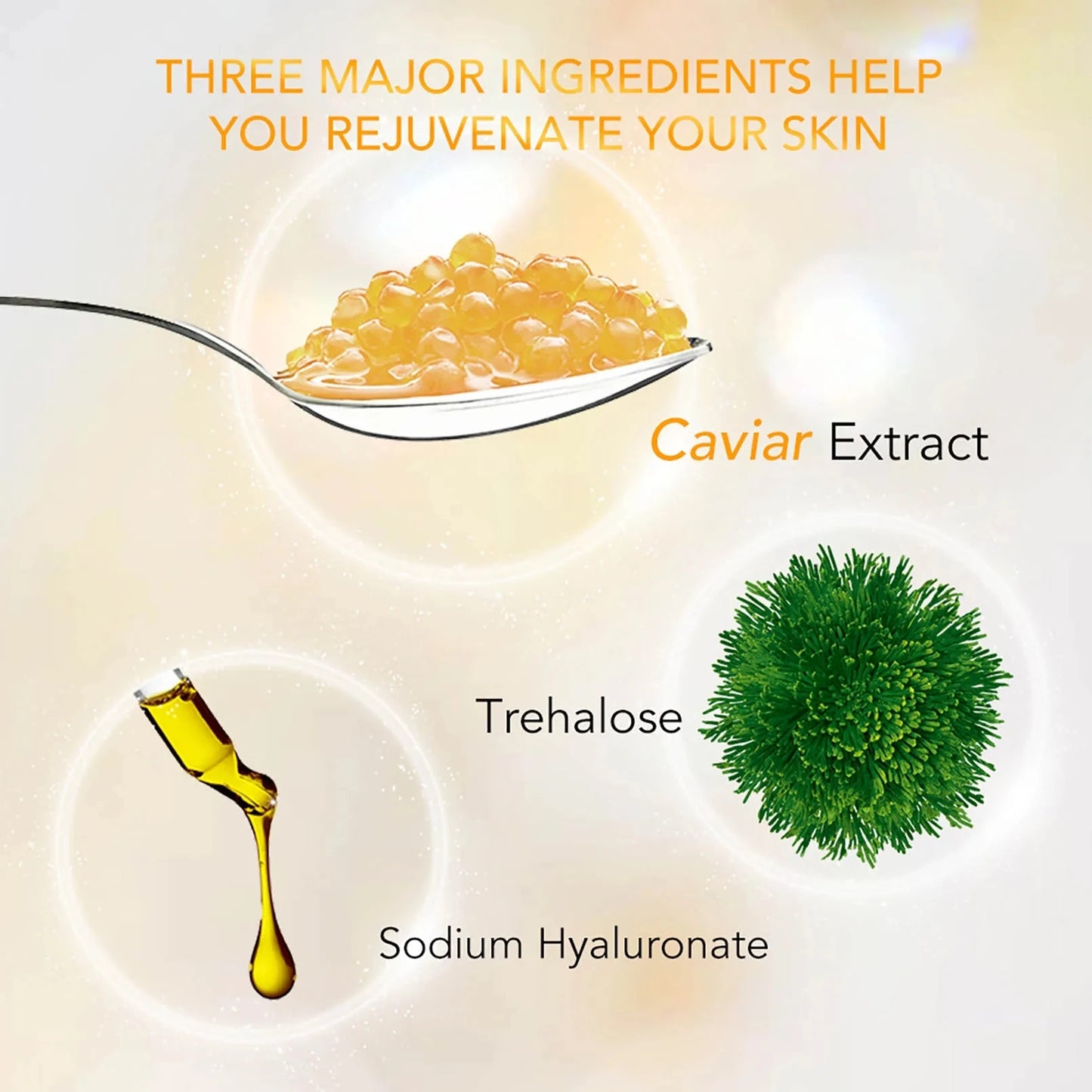 Brightening Anti-Aging Face Cream